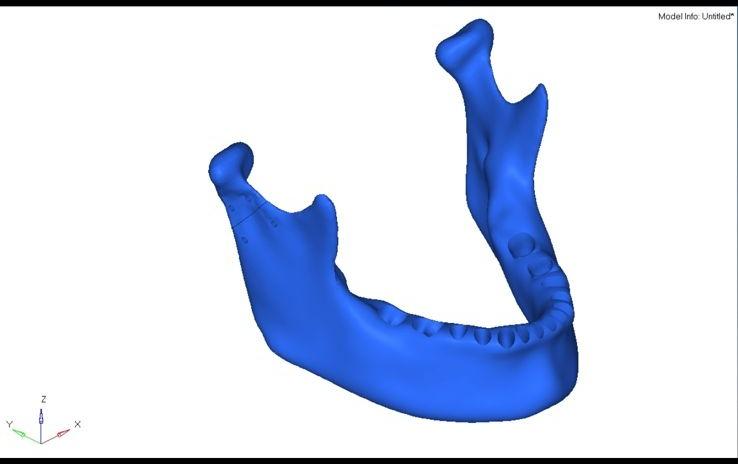 Mandible bare model